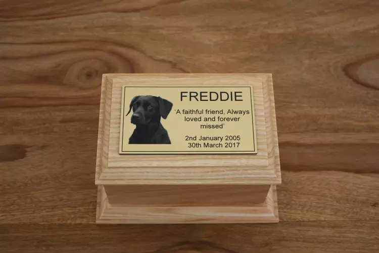 Pet caskets clearance for dogs
